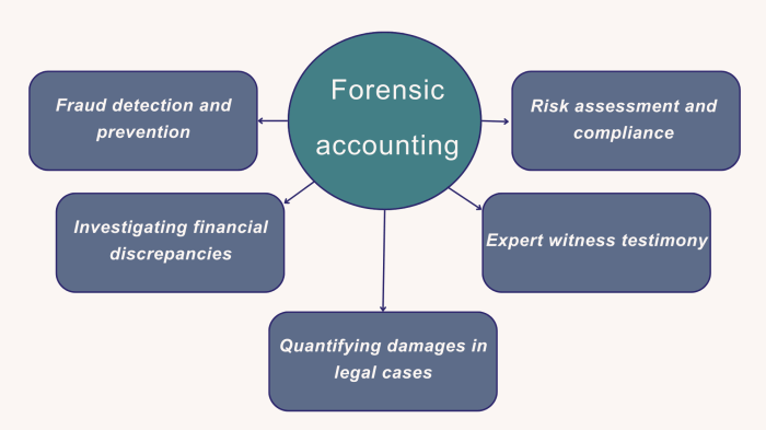 What Is Forensic Accounting: what do forensic accountants do?