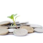 Free Stock Photo 4974 savings growth | freeimageslive